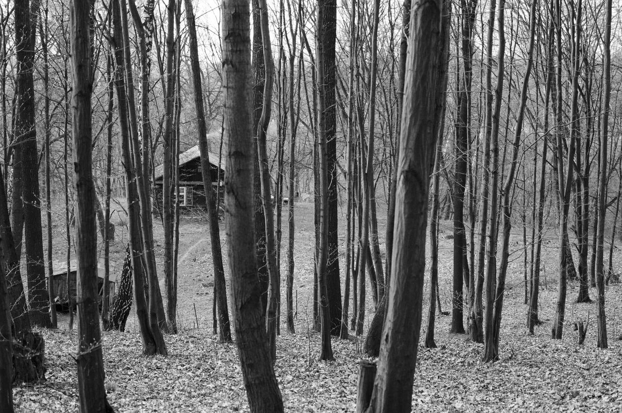 Kliknij obrazek, aby uzyskać większą wersję

Nazwa:	30300014-BW.JPG
Wyświetleń:	8
Rozmiar:	4,42 MB
ID:	10342