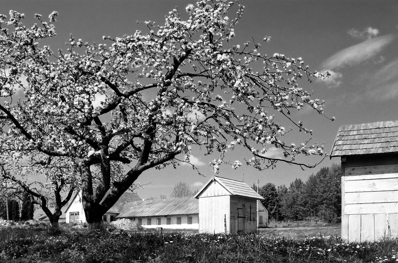 Kliknij obrazek, aby uzyskać większą wersję

Nazwa:	32530006-BW copy2.jpg
Wyświetleń:	5
Rozmiar:	4,33 MB
ID:	10598