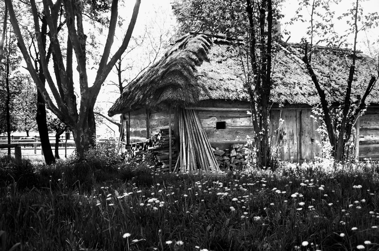 Kliknij obrazek, aby uzyskać większą wersję

Nazwa:	32560031 copy.jpg
Wyświetleń:	7
Rozmiar:	4,65 MB
ID:	10624