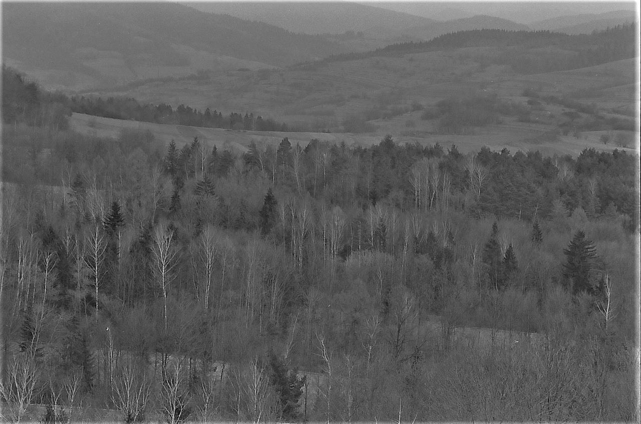 Kliknij obrazek, aby uzyskać większą wersję

Nazwa:	pola11.jpg
Wyświetleń:	4
Rozmiar:	567,8 KB
ID:	10755