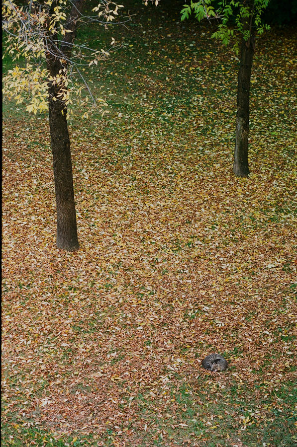 Kliknij obrazek, aby uzyskać większą wersję

Nazwa:	92730012-2.JPG
Wyświetleń:	4
Rozmiar:	10,30 MB
ID:	10921
