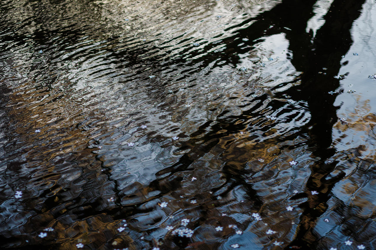 Kliknij obrazek, aby uzyskać większą wersję

Nazwa:	20230330-Canon EOS 6D Mark II-3066.jpg
Wyświetleń:	7
Rozmiar:	2,65 MB
ID:	11885