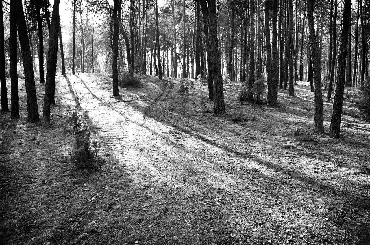 Kliknij obrazek, aby uzyskać większą wersję

Nazwa:	92730020 copy.jpg
Wyświetleń:	6
Rozmiar:	4,80 MB
ID:	12105