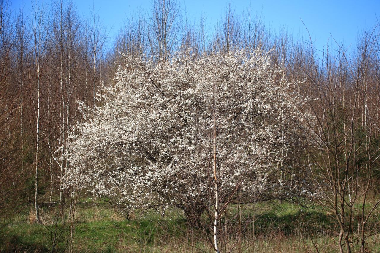 Kliknij obrazek, aby uzyskać większą wersję

Nazwa:	2023-04-22#L001.jpg
Wyświetleń:	4
Rozmiar:	784,0 KB
ID:	12115
