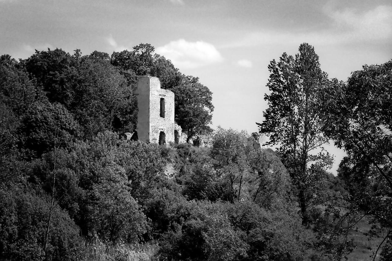 Kliknij obrazek, aby uzyskać większą wersję

Nazwa:	Negative0-20-20(1) copy2.jpg
Wyświetleń:	9
Rozmiar:	1,96 MB
ID:	12225