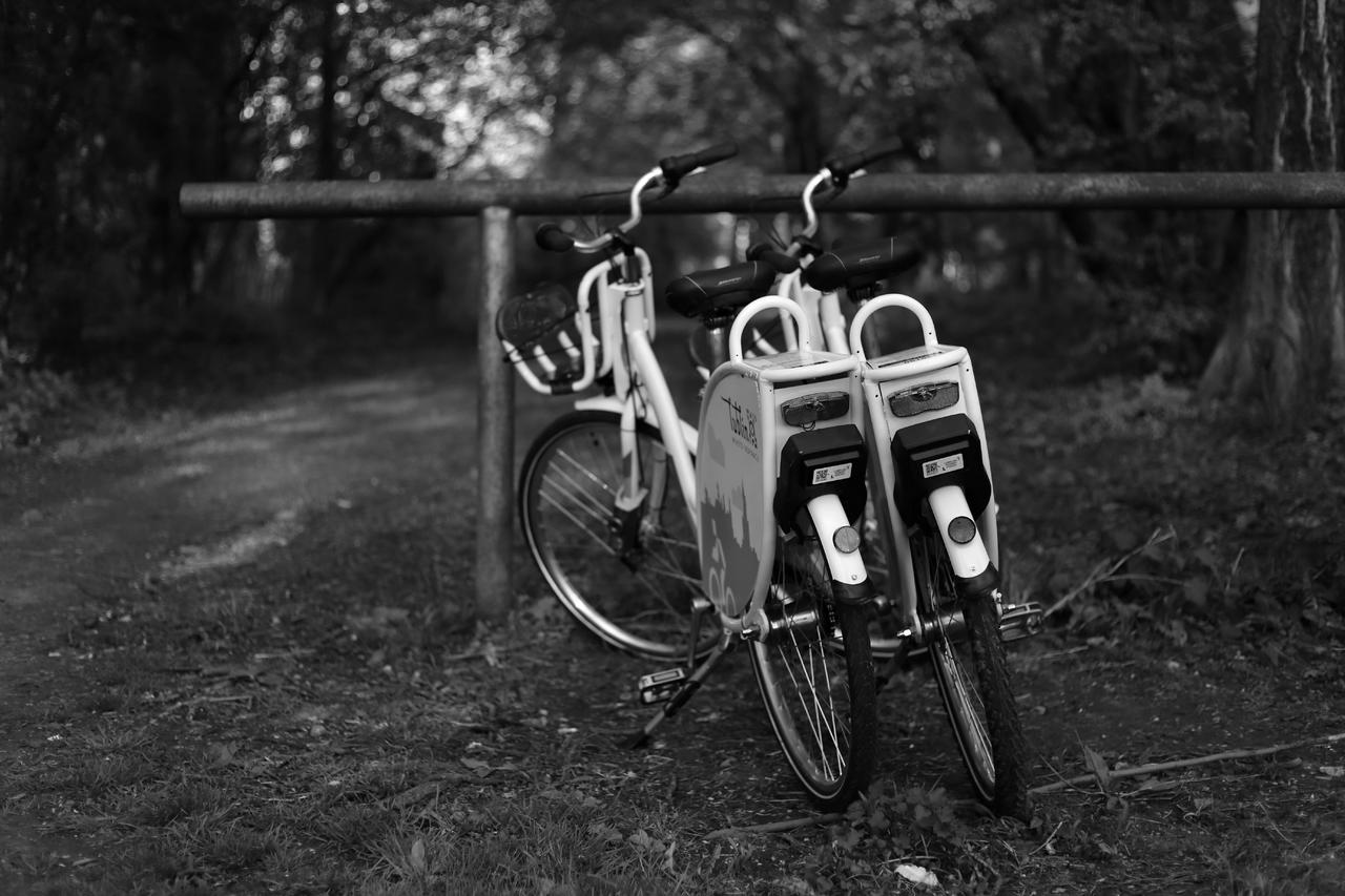 Kliknij obrazek, aby uzyskać większą wersję

Nazwa:	IMG_7785_bw.JPG
Wyświetleń:	10
Rozmiar:	7,33 MB
ID:	12289