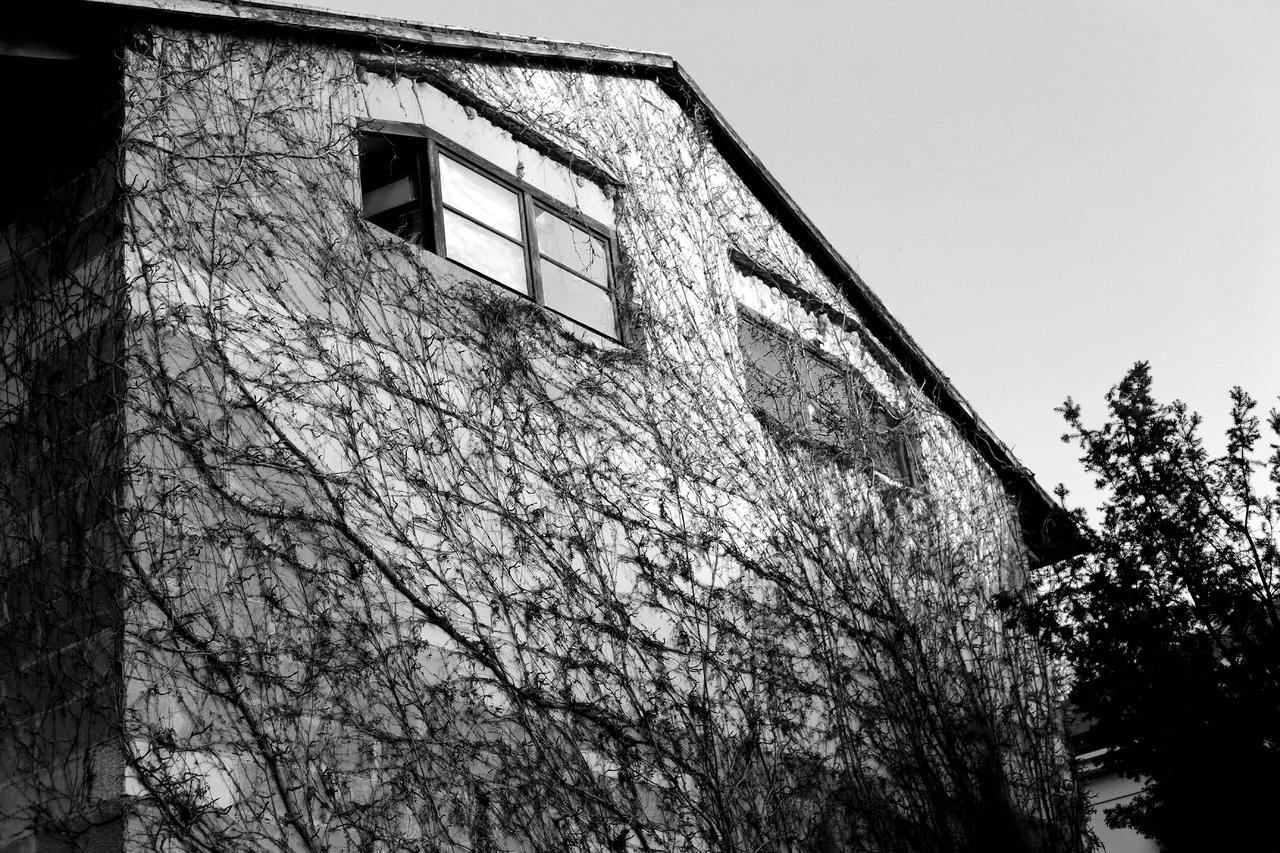 Kliknij obrazek, aby uzyskać większą wersję

Nazwa:	IMG_7805 copy.jpg
Wyświetleń:	12
Rozmiar:	11,94 MB
ID:	12294