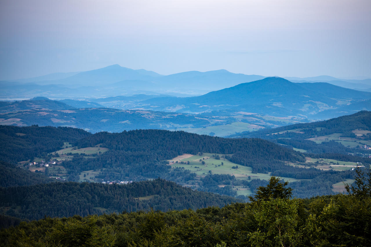 Kliknij obrazek, aby uzyskać większą wersję

Nazwa:	932A4745.jpg
Wyświetleń:	4
Rozmiar:	4,34 MB
ID:	14240