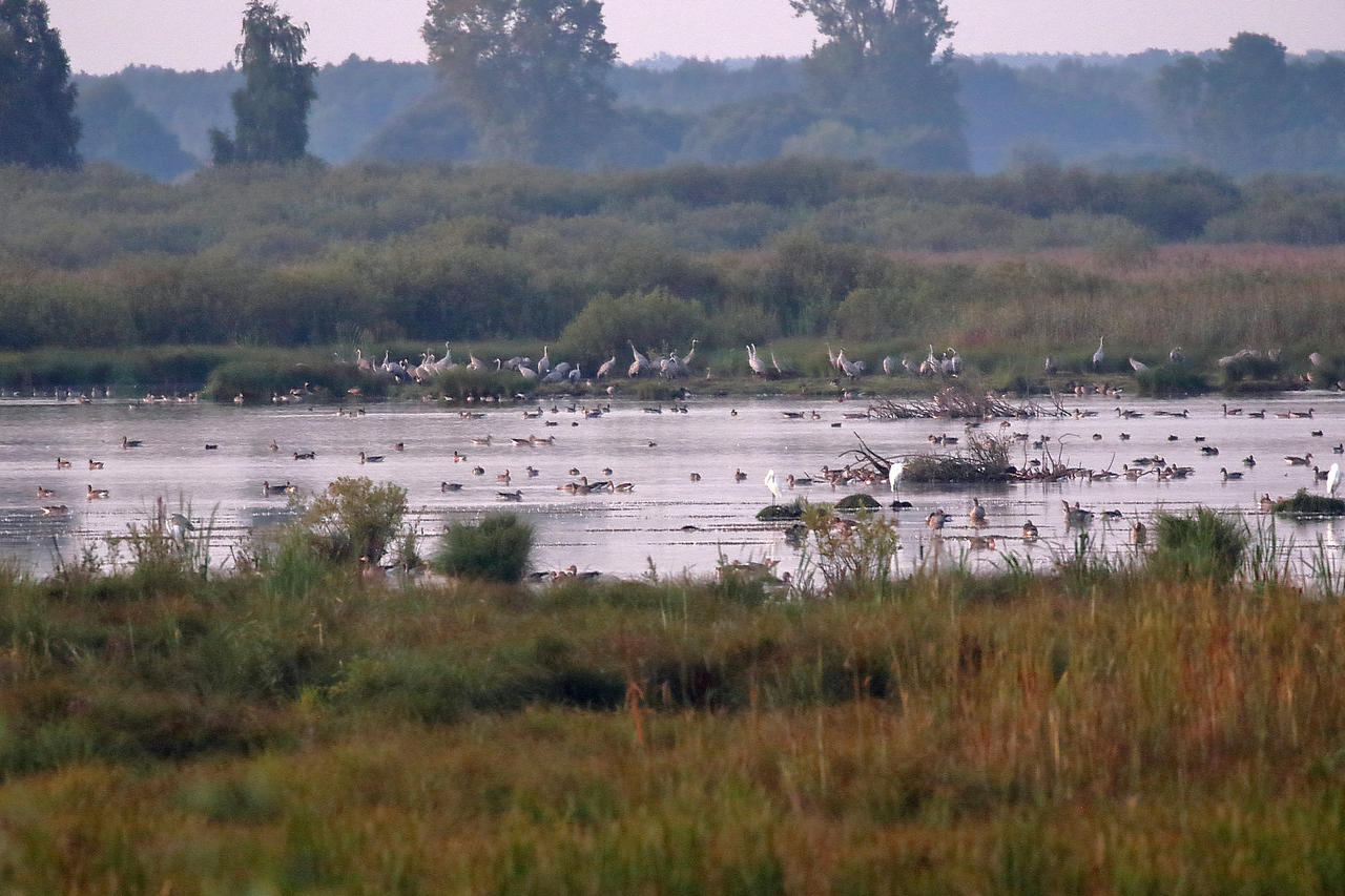 Kliknij obrazek, aby uzyskać większą wersję

Nazwa:	IMGL2934-r.JPG
Wyświetleń:	5
Rozmiar:	3,91 MB
ID:	14669