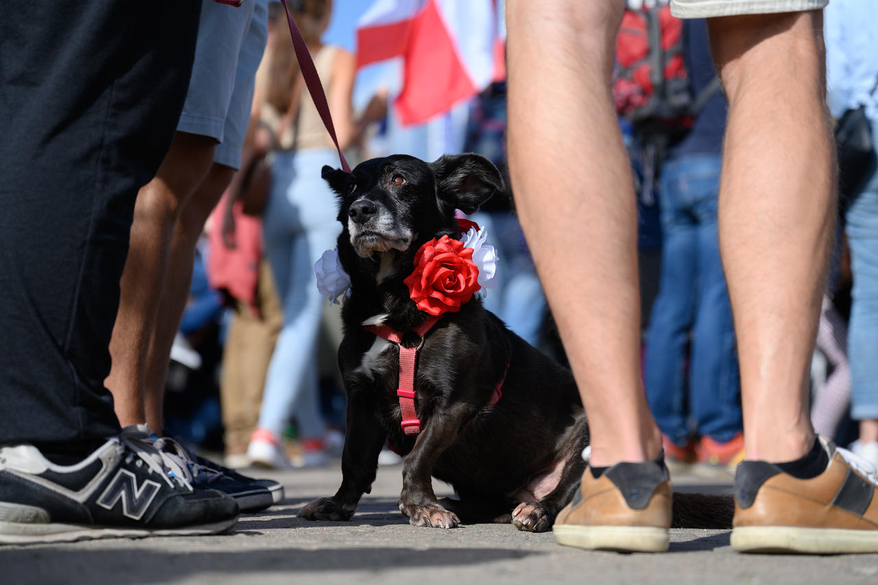 Kliknij obrazek, aby uzyskać większą wersję

Nazwa:	AAA_5577.jpg
Wyświetleń:	11
Rozmiar:	627,8 KB
ID:	15132