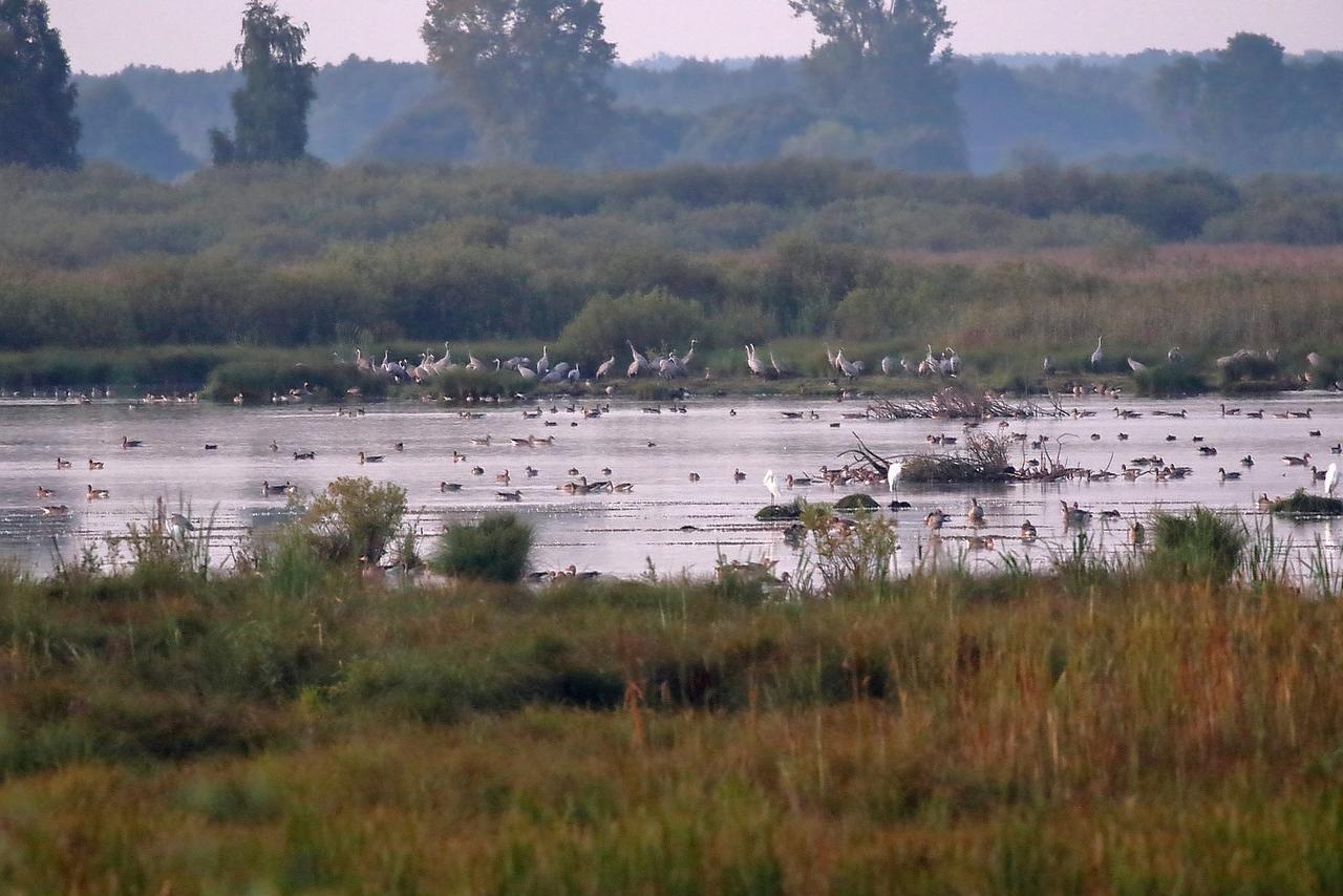 Kliknij obrazek, aby uzyskać większą wersję

Nazwa:	IMGL2934-r2.JPG
Wyświetleń:	12
Rozmiar:	474,7 KB
ID:	15494