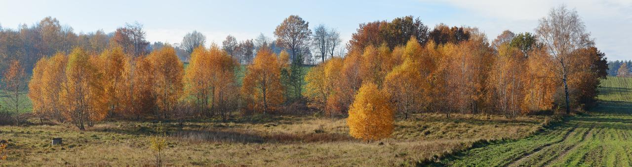 Kliknij obrazek, aby uzyskać większą wersję

Nazwa:	2023-11-11#L003.jpg
Wyświetleń:	29
Rozmiar:	893,3 KB
ID:	15508