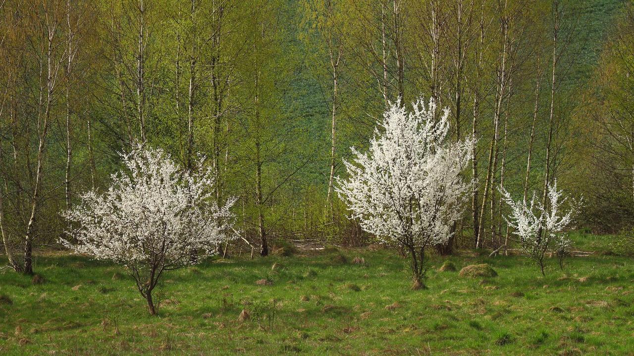 Kliknij obrazek, aby uzyskać większą wersję

Nazwa:	2024-04-09#L001.jpg
Wyświetleń:	18
Rozmiar:	718,1 KB
ID:	16089