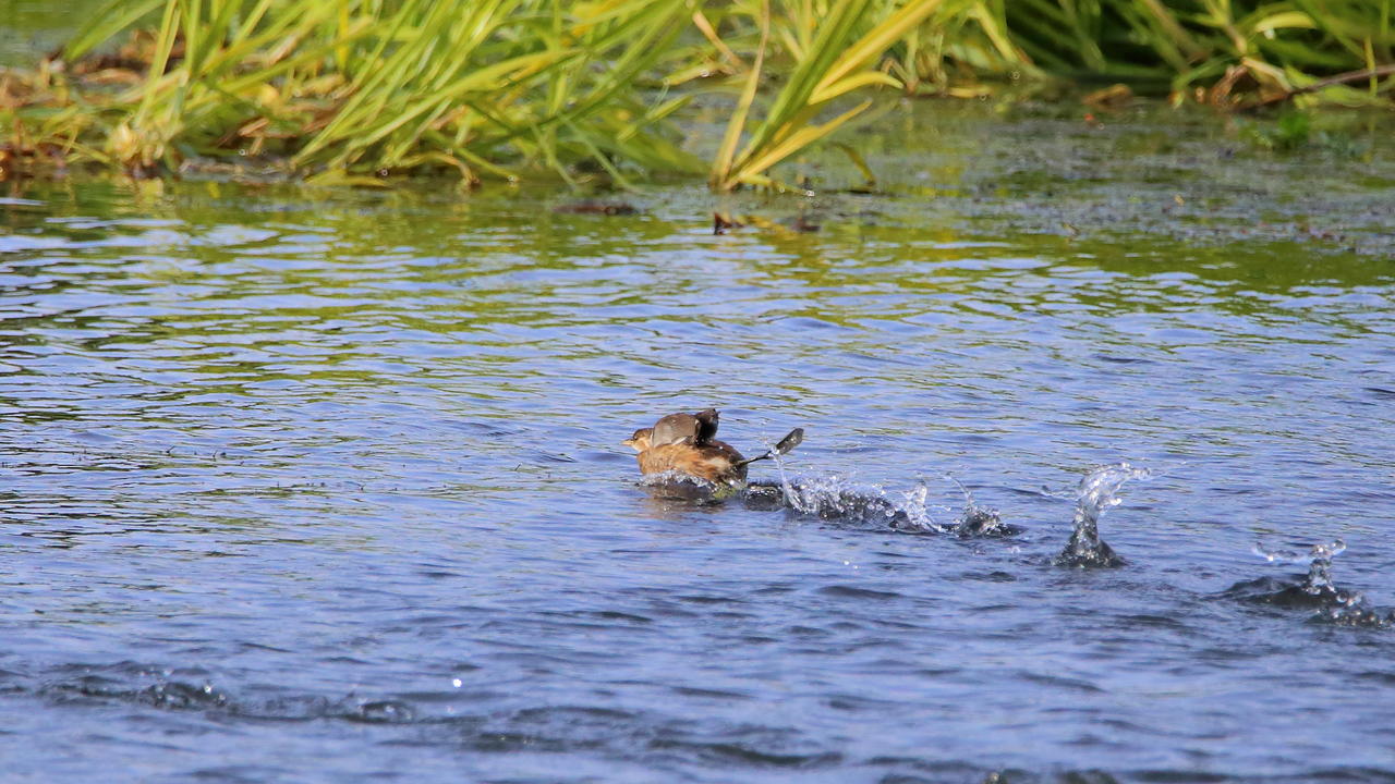 Kliknij obrazek, aby uzyskać większą wersję

Nazwa:	IMG_0347.JPG
Wyświetleń:	1
Rozmiar:	3,45 MB
ID:	18300