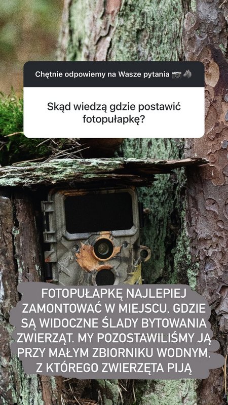 Kliknij obrazek, aby uzyskać większą wersję

Nazwa:	baltyk-fotopulapka-wilki-s.jpg
Wyświetleń:	23
Rozmiar:	114,8 KB
ID:	19229