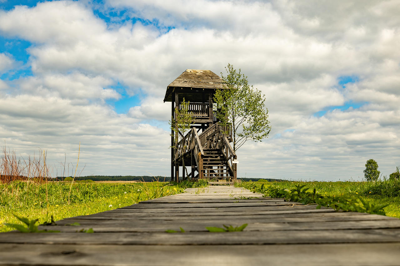 Kliknij obrazek, aby uzyskać większą wersję

Nazwa:	3N7A2326.jpg
Wyświetleń:	1
Rozmiar:	1,98 MB
ID:	20096