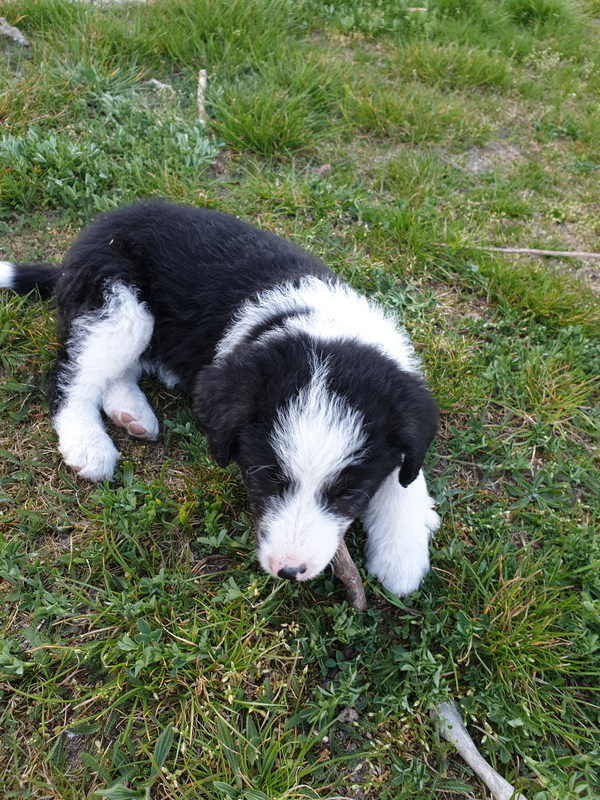 Kliknij obrazek, aby uzyskać większą wersję

Nazwa:	fred.jpg
Wyświetleń:	107
Rozmiar:	421,7 KB
ID:	4416