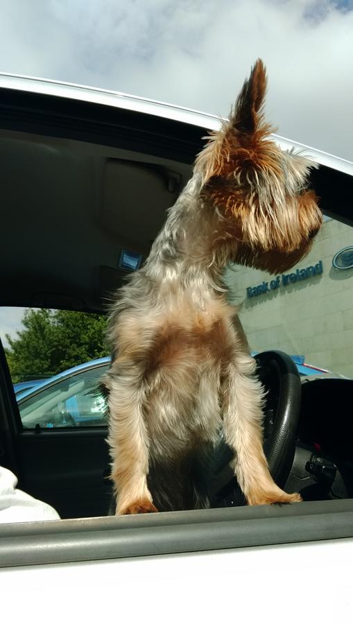 Kliknij obrazek, aby uzyskać większą wersję

Nazwa:	IMAG0279.jpg
Wyświetleń:	13
Rozmiar:	1,08 MB
ID:	7329