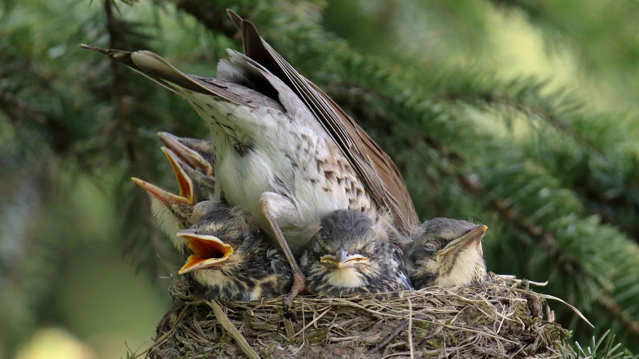 Kliknij obrazek, aby uzyskać większą wersję

Nazwa:	IMGL2628_cr-m.JPG
Wyświetleń:	8
Rozmiar:	759,3 KB
ID:	7985