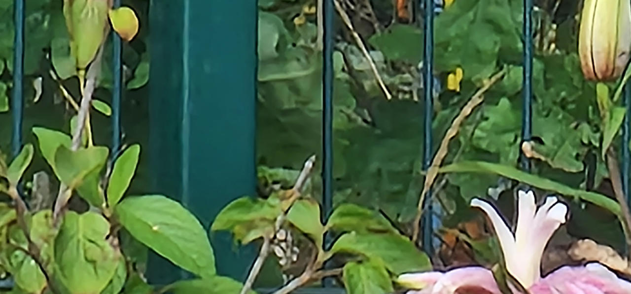 Kliknij obrazek, aby uzyskać większą wersję

Nazwa:	100razy.jpg
Wyświetleń:	8
Rozmiar:	980,8 KB
ID:	8592