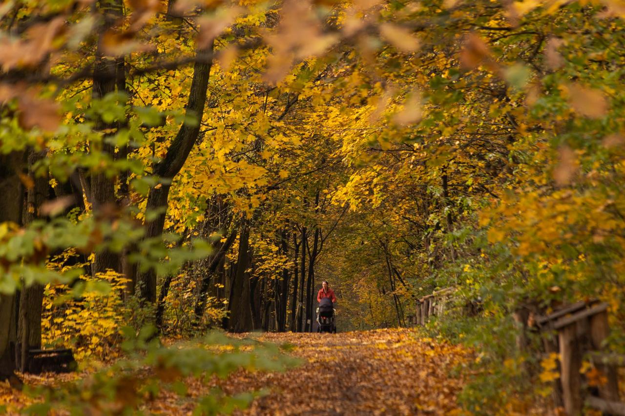Kliknij obrazek, aby uzyskać większą wersję

Nazwa:	_MG_6563.jpg
Wyświetleń:	9
Rozmiar:	922,5 KB
ID:	9363