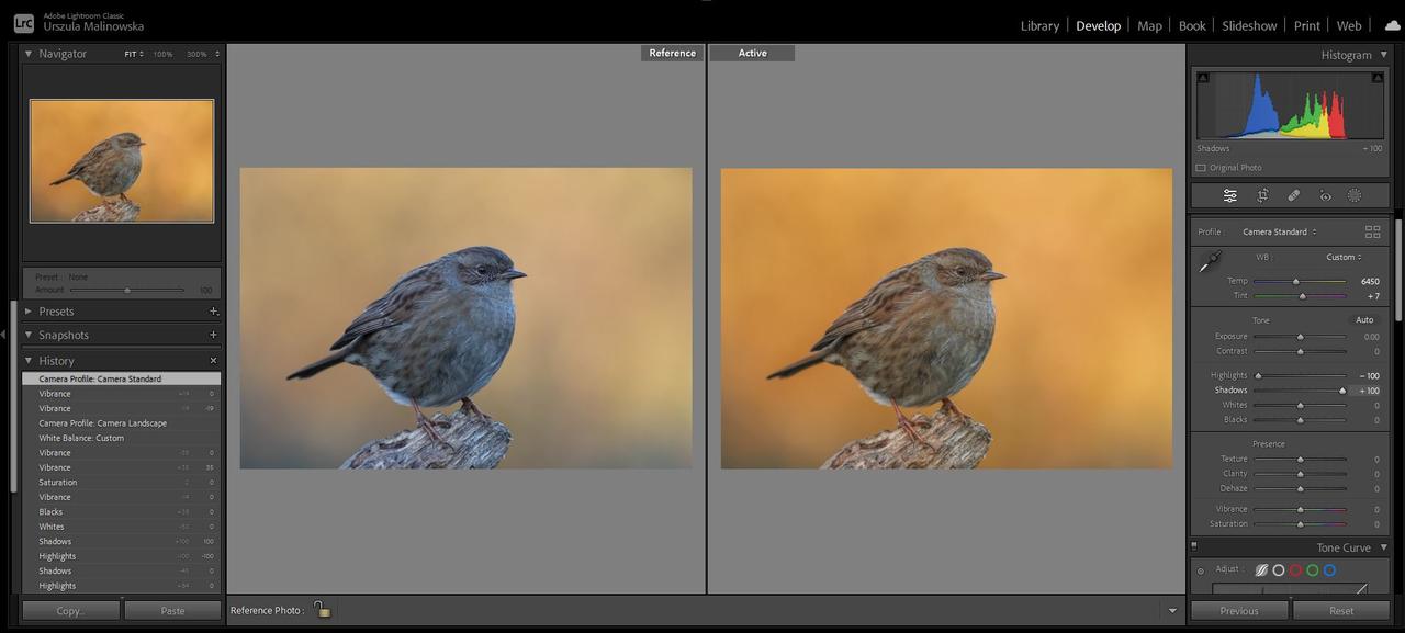 Kliknij obrazek, aby uzyskać większą wersję

Nazwa:	Dunnock.JPG
Wyświetleń:	11
Rozmiar:	149,5 KB
ID:	9665