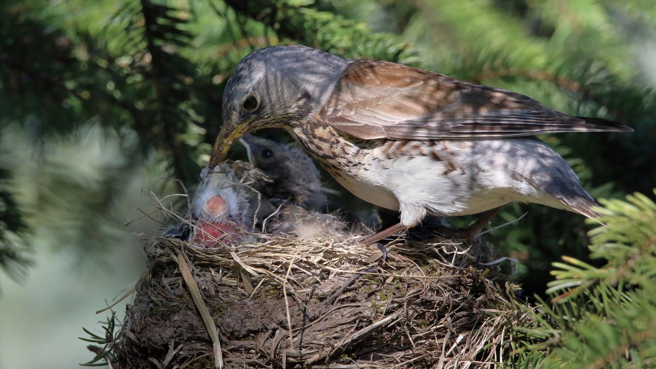 Kliknij obrazek, aby uzyskać większą wersję

Nazwa:	IMGL2259-2-m.JPG
Wyświetleń:	5
Rozmiar:	906,9 KB
ID:	7974