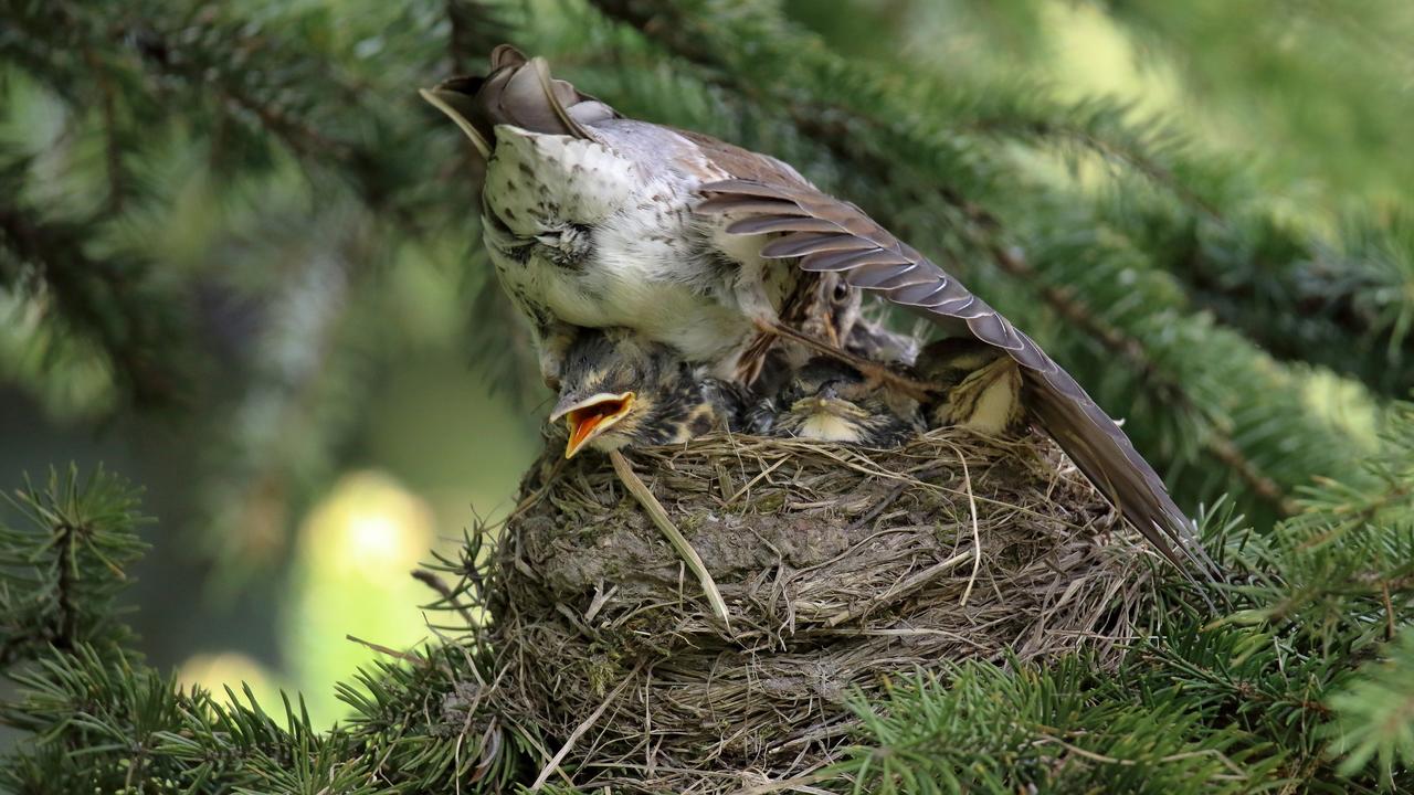 Kliknij obrazek, aby uzyskać większą wersję

Nazwa:	IMGL2636-m.JPG
Wyświetleń:	7
Rozmiar:	875,7 KB
ID:	7986