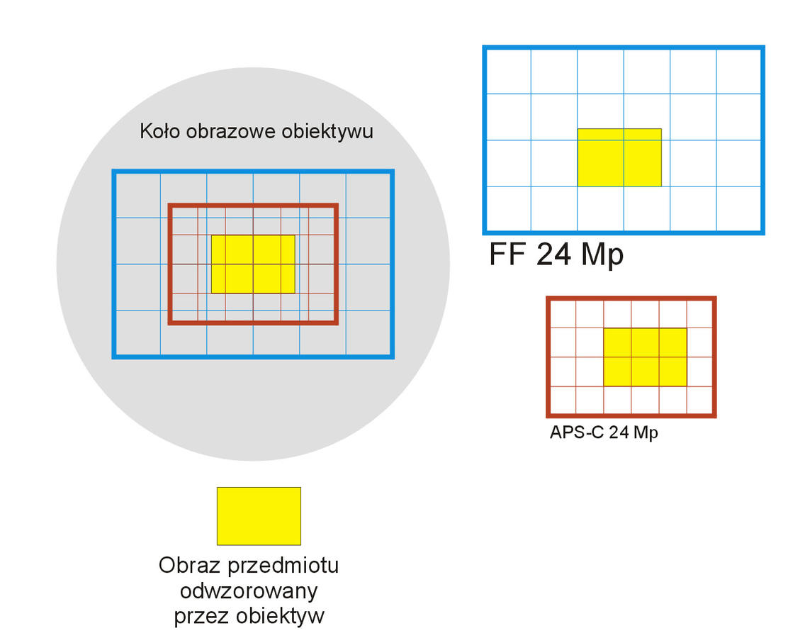 Kliknij obrazek, aby uzyskać większą wersję

Nazwa:	FF_vs_APS-C.jpg
Wyświetleń:	9
Rozmiar:	119,1 KB
ID:	6914