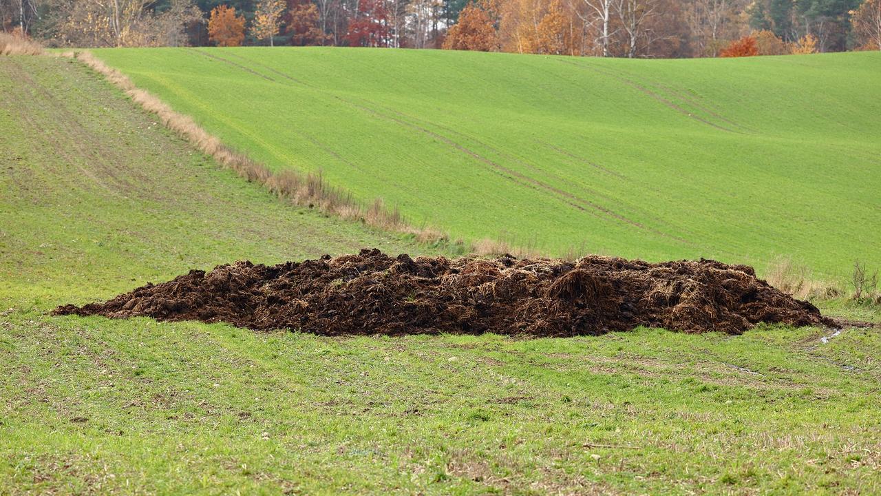 Kliknij obrazek, aby uzyskać większą wersję

Nazwa:	2023-11-09#L002.jpg
Wyświetleń:	9
Rozmiar:	621,7 KB
ID:	15495