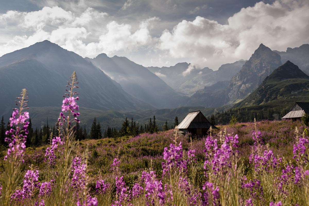 Kliknij obrazek, aby uzyskać większą wersję

Nazwa:	Zakopane 2015_058.jpg
Wyświetleń:	1248
Rozmiar:	230,9 KB
ID:	1082