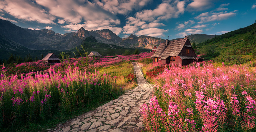 Kliknij obrazek, aby uzyskać większą wersję

Nazwa:	Tatry-3-870x450.jpg
Wyświetleń:	24
Rozmiar:	233,8 KB
ID:	884