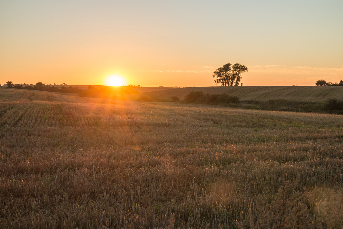 Kliknij obrazek, aby uzyskać większą wersję

Nazwa:	D_2016-08_0549.jpg
Wyświetleń:	38
Rozmiar:	702,9 KB
ID:	2049