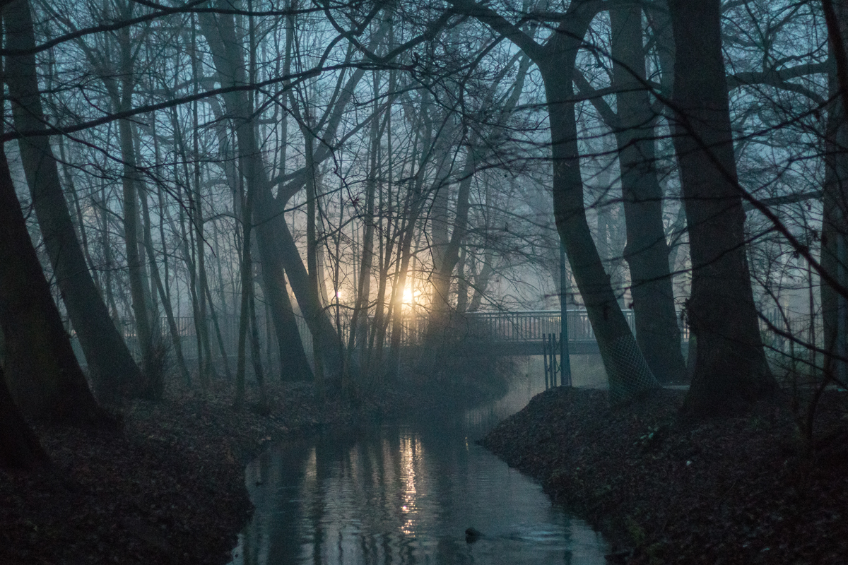 Kliknij obrazek, aby uzyskać większą wersję

Nazwa:	D_2019-12_0753.jpg
Wyświetleń:	126
Rozmiar:	855,2 KB
ID:	3782