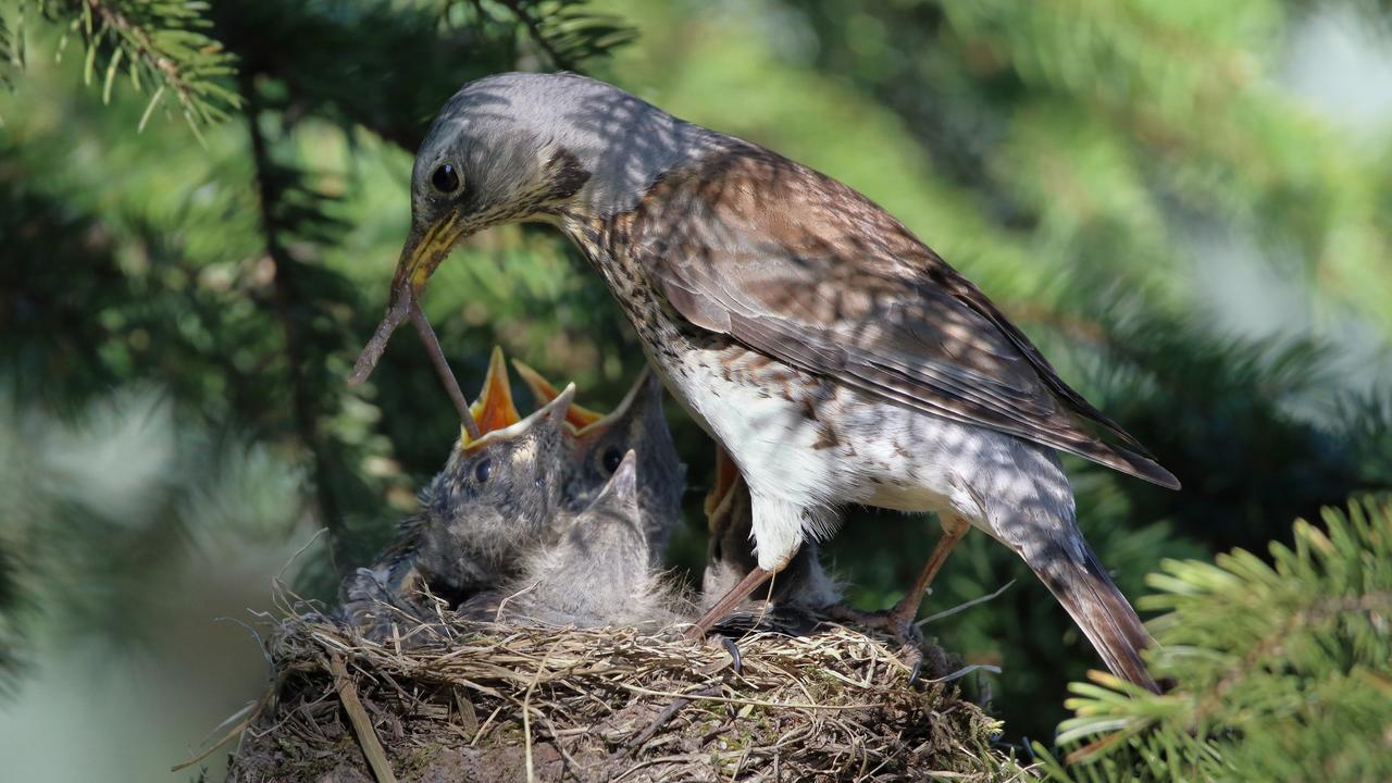 Kliknij obrazek, aby uzyskać większą wersję

Nazwa:	IMGL2241-2-m.JPG
Wyświetleń:	6
Rozmiar:	831,9 KB
ID:	7973