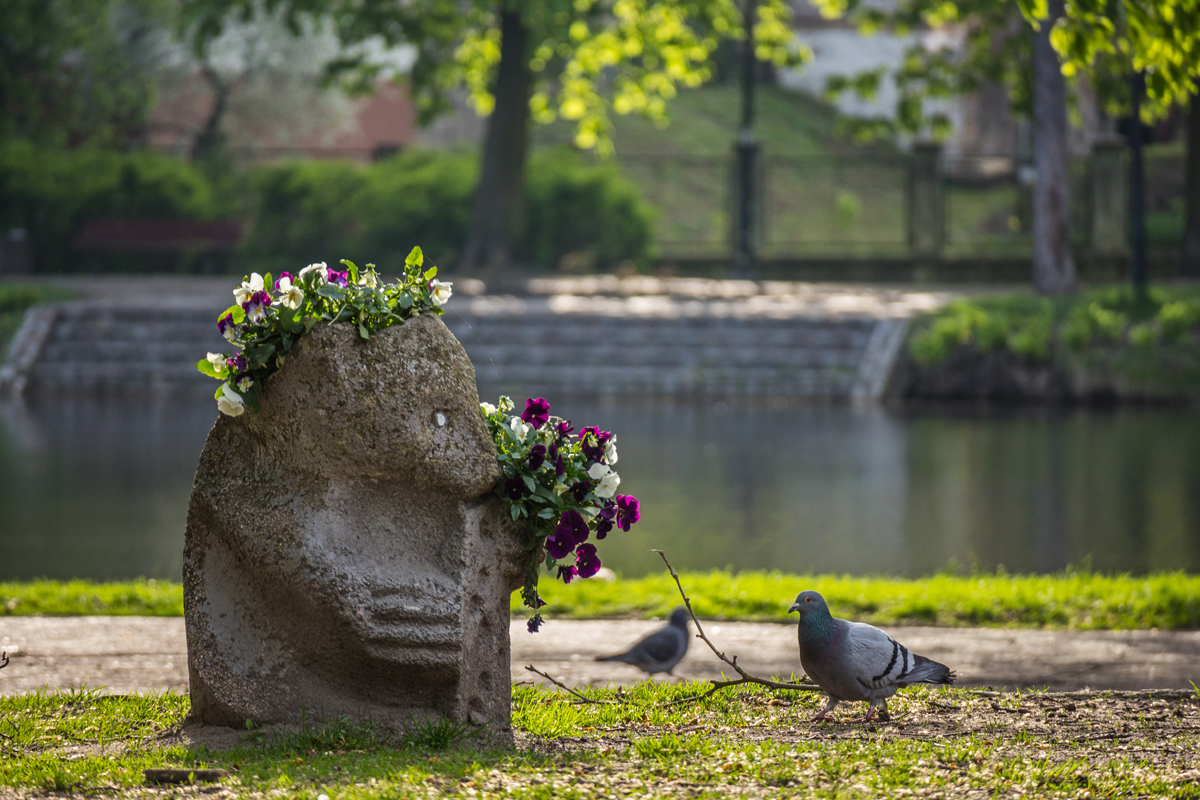 Kliknij obrazek, aby uzyskać większą wersję

Nazwa:	D_2017-04_0536.jpg
Wyświetleń:	178
Rozmiar:	834,0 KB
ID:	4478