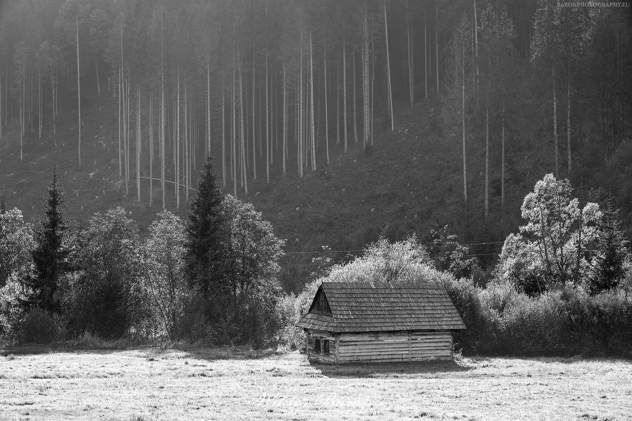 Kliknij obrazek, aby uzyskać większą wersję

Nazwa:	Fotografia Czarno-Biała (1).jpg
Wyświetleń:	5
Rozmiar:	851,5 KB
ID:	4429