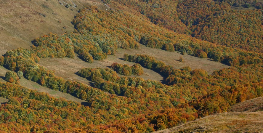 Kliknij obrazek, aby uzyskać większą wersję

Nazwa:	2021-10-04#L009.jpg
Wyświetleń:	34
Rozmiar:	271,3 KB
ID:	7501