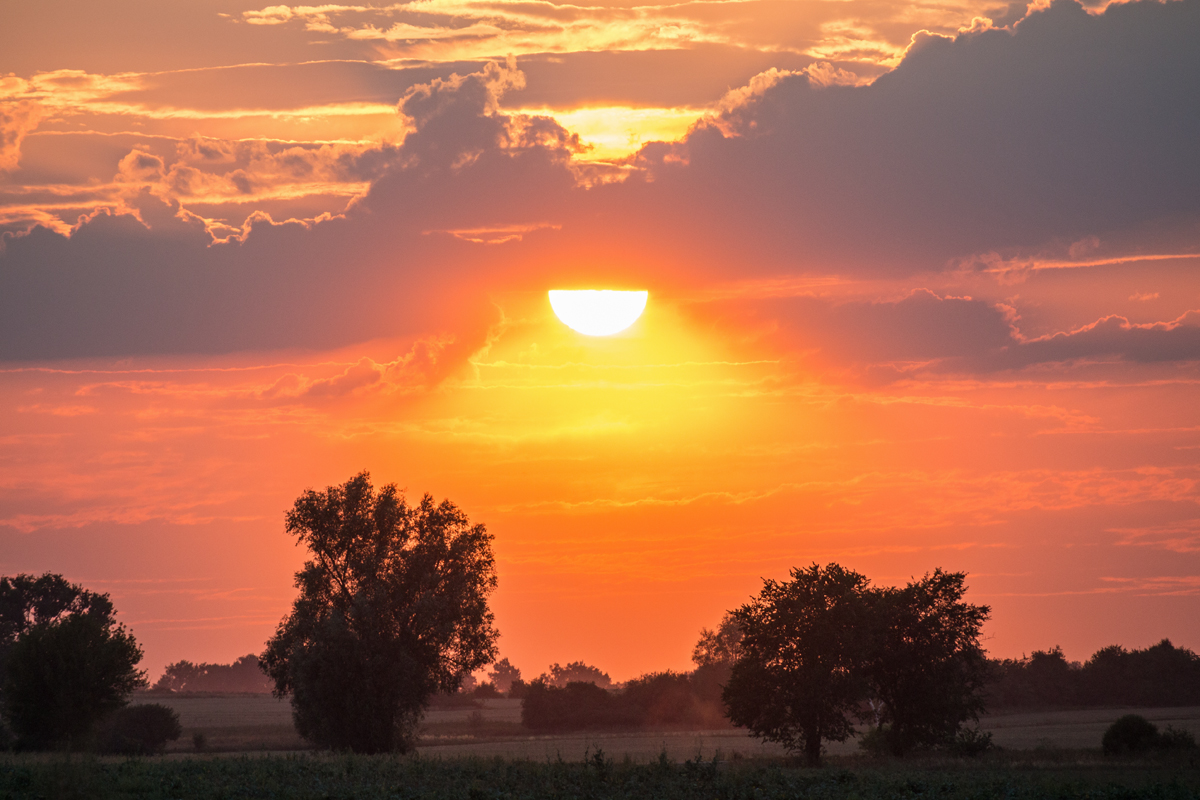 Kliknij obrazek, aby uzyskać większą wersję

Nazwa:	D_2018-08_0243.jpg
Wyświetleń:	125
Rozmiar:	635,8 KB
ID:	2453