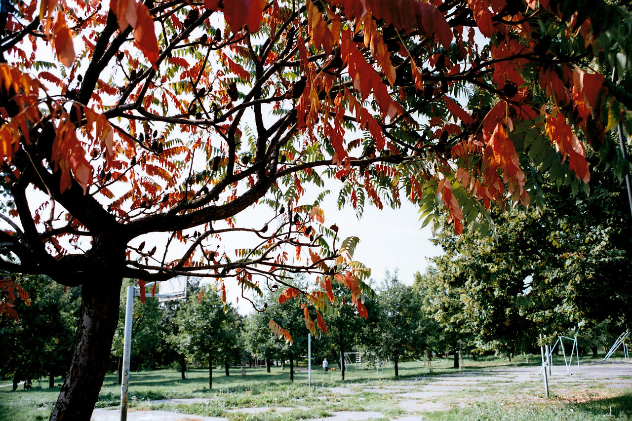 Kliknij obrazek, aby uzyskać większą wersję

Nazwa:	Negative0-37-36(1).jpg
Wyświetleń:	2
Rozmiar:	4,54 MB
ID:	11133