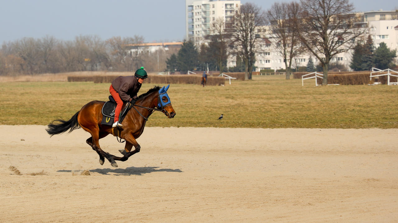 Kliknij obrazek, aby uzyskać większą wersję

Nazwa:	3A6A5444.jpg
Wyświetleń:	11
Rozmiar:	5,84 MB
ID:	6058