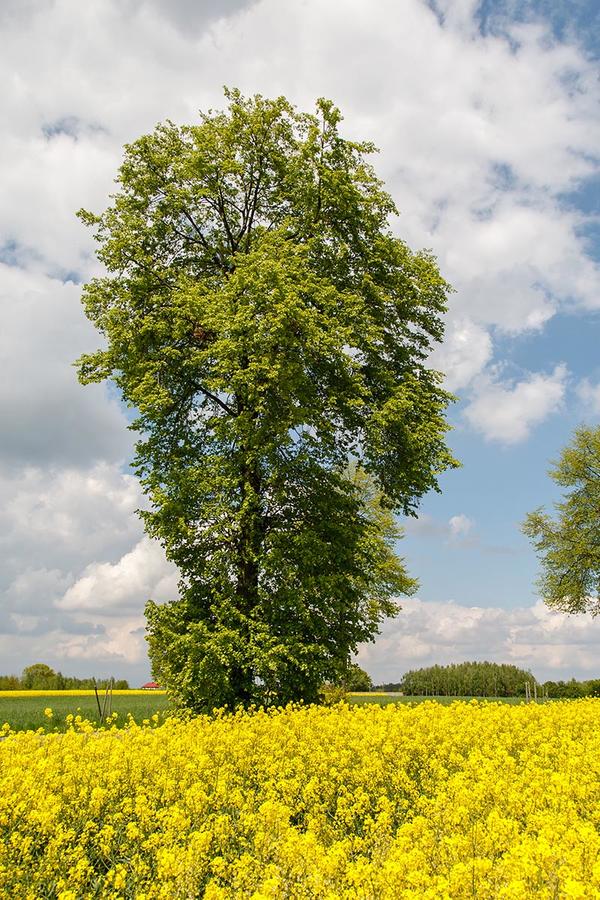 Kliknij obrazek, aby uzyskać większą wersję

Nazwa:	trochę wiosny jesienią_0014.JPG
Wyświetleń:	16
Rozmiar:	348,9 KB
ID:	3056