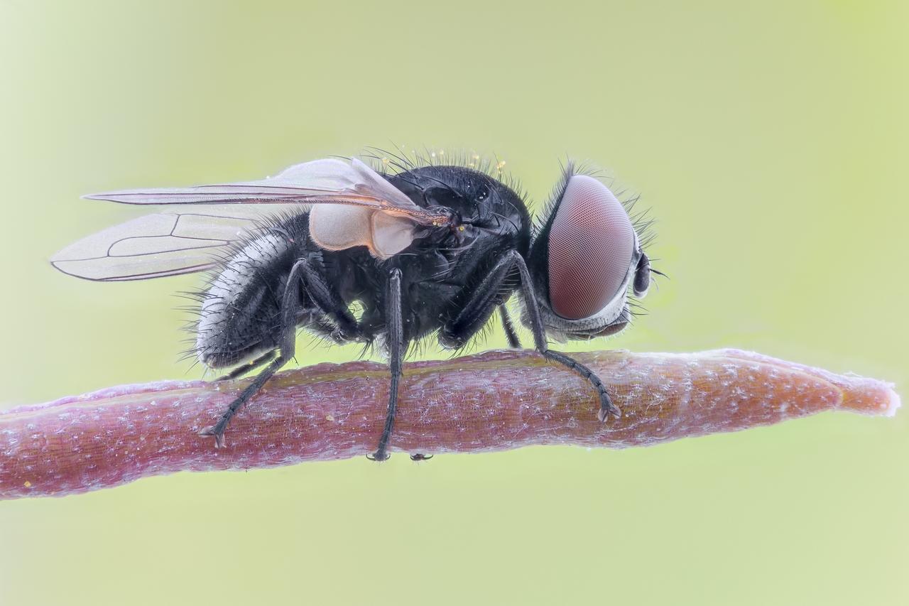 Kliknij obrazek, aby uzyskać większą wersję

Nazwa:	2019-06-20-14.55.32 ZS retouched (Kopiowanie).jpg
Wyświetleń:	18
Rozmiar:	948,4 KB
ID:	2442