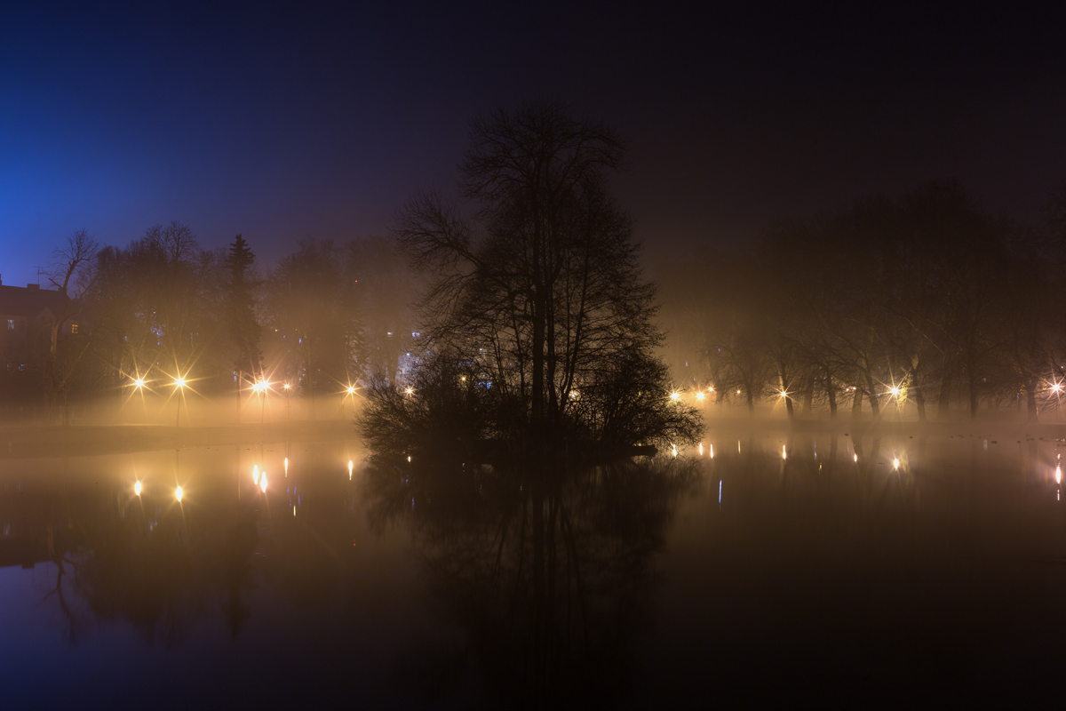 Kliknij obrazek, aby uzyskać większą wersję

Nazwa:	D_2019-12_0746.jpg
Wyświetleń:	114
Rozmiar:	473,1 KB
ID:	3999