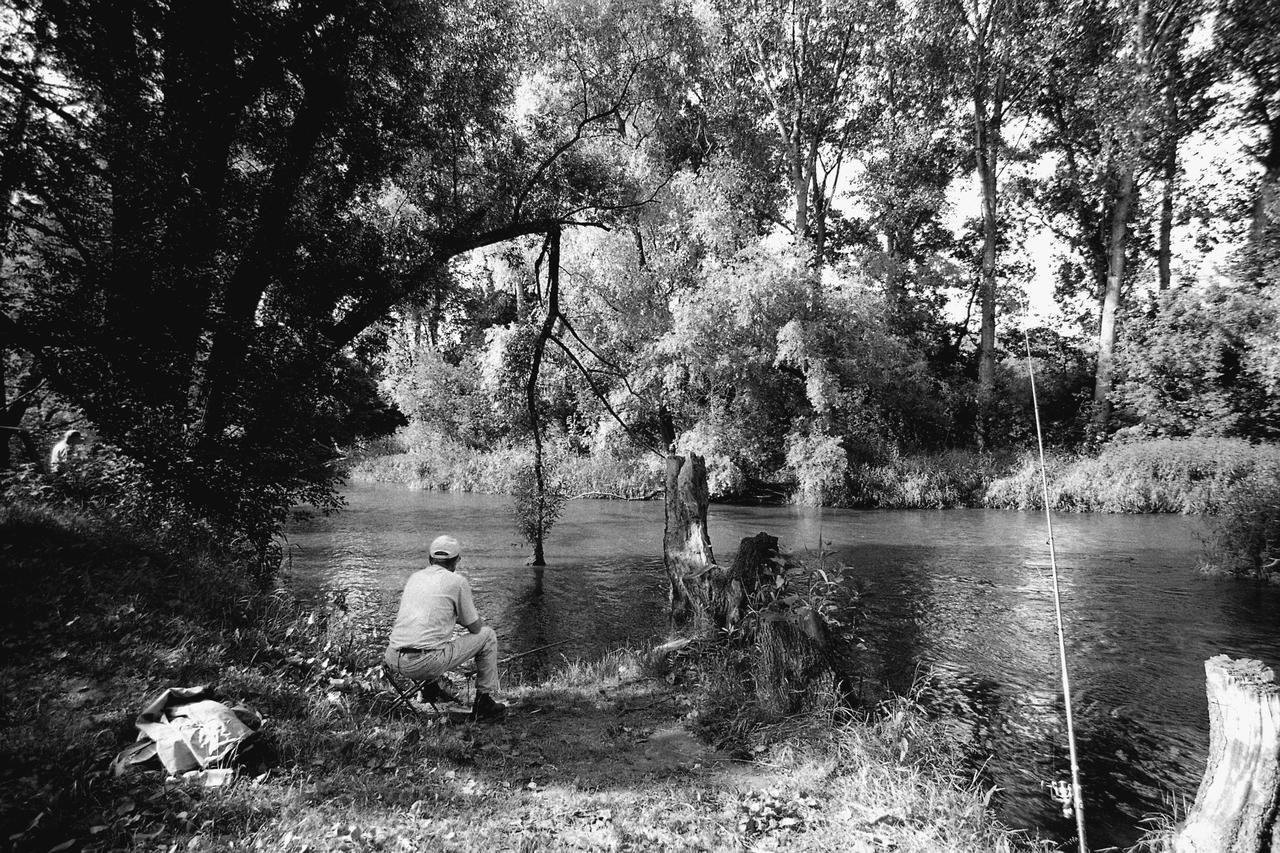 Kliknij obrazek, aby uzyskać większą wersję

Nazwa:	Negative0-17-17A(1) copy.jpg
Wyświetleń:	5
Rozmiar:	2,35 MB
ID:	11052