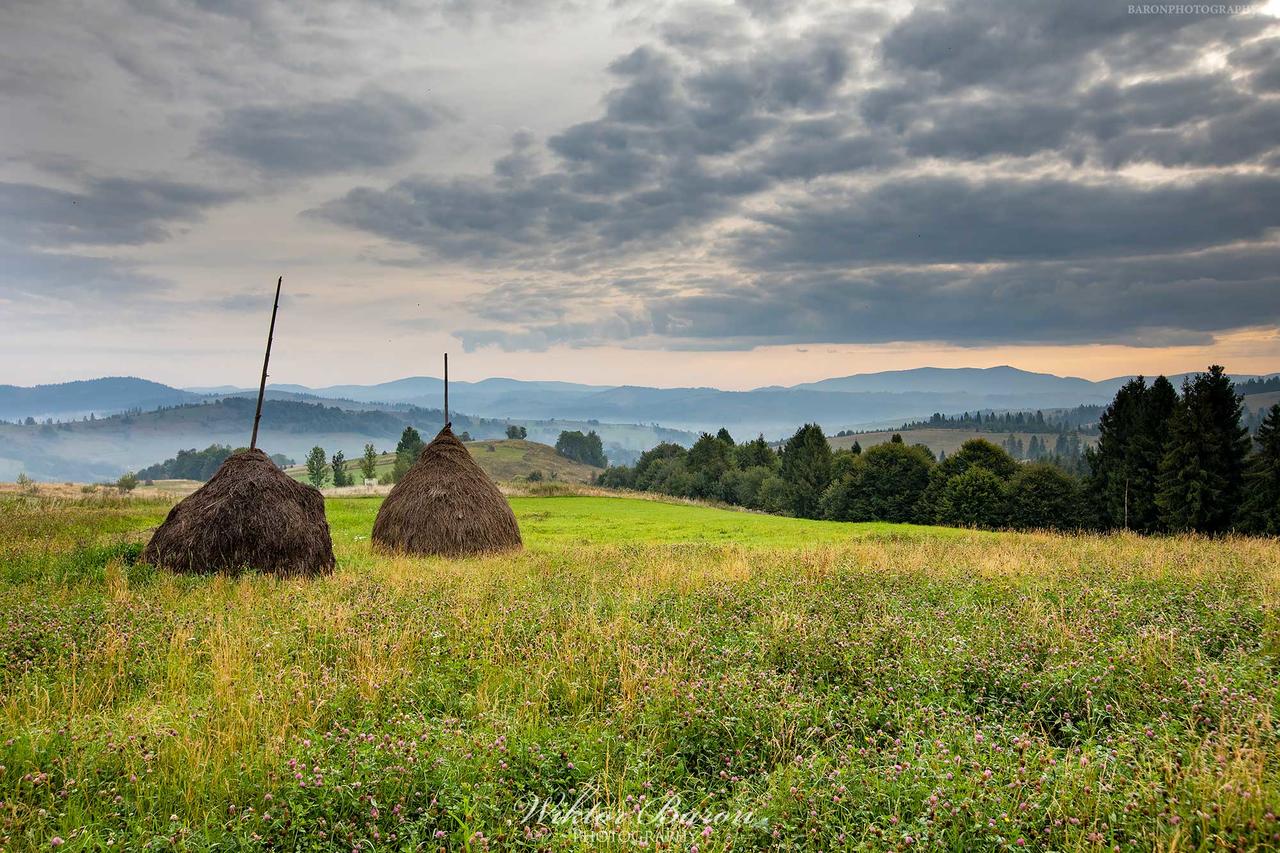 Kliknij obrazek, aby uzyskać większą wersję

Nazwa:	5B9A7517.jpg
Wyświetleń:	4
Rozmiar:	480,3 KB
ID:	4245