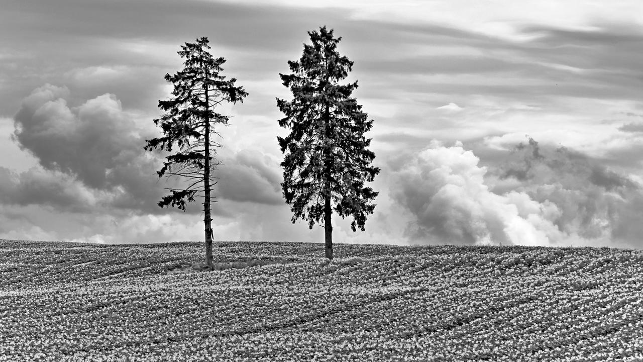 Kliknij obrazek, aby uzyskać większą wersję

Nazwa:	IMG_6092-F_DxO-F-PS_cr_BW2K.jpg
Wyświetleń:	7
Rozmiar:	2,03 MB
ID:	9242