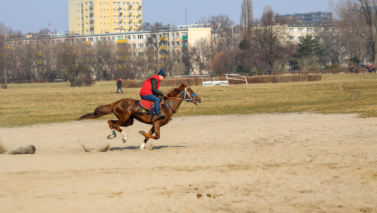 Kliknij obrazek, aby uzyskać większą wersję

Nazwa:	3A6A5482.jpg
Wyświetleń:	11
Rozmiar:	6,52 MB
ID:	6061