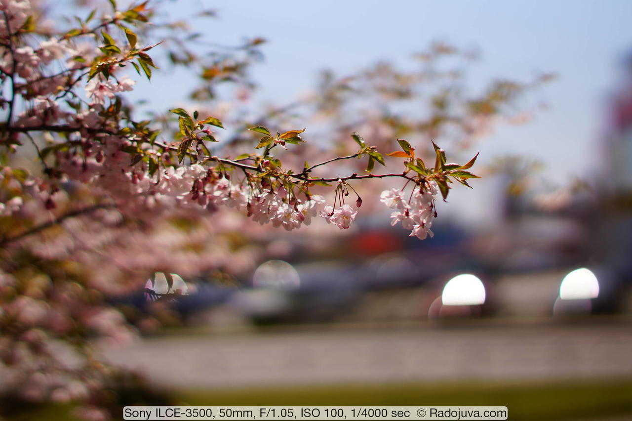 Kliknij obrazek, aby uzyskać większą wersję

Nazwa:	bokeh-efcs-isuue-7.jpg
Wyświetleń:	5
Rozmiar:	228,0 KB
ID:	12657