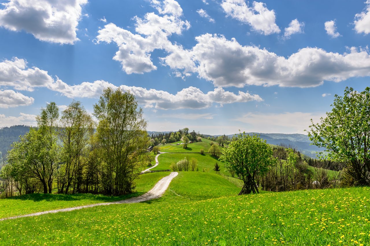 Kliknij obrazek, aby uzyskać większą wersję

Nazwa:	16.jpg
Wyświetleń:	156
Rozmiar:	347,1 KB
ID:	831